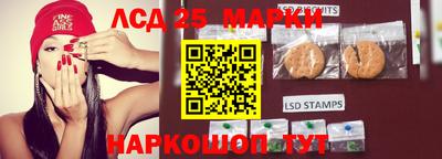 стафф Будённовск