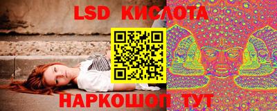 стафф Будённовск