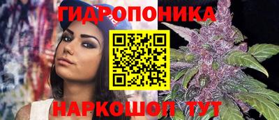 стафф Будённовск