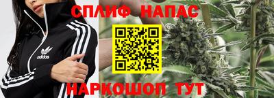 стафф Будённовск